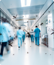 hospital 1 1
